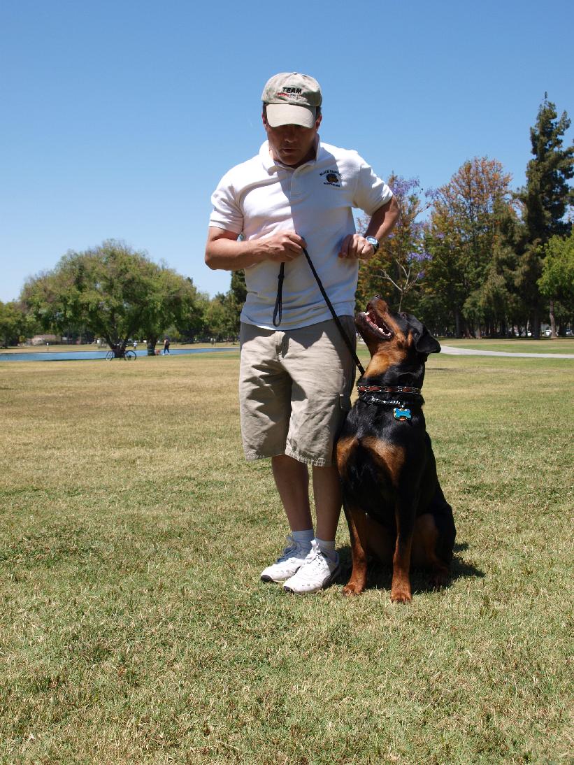 Chace in training - Heartwell Park