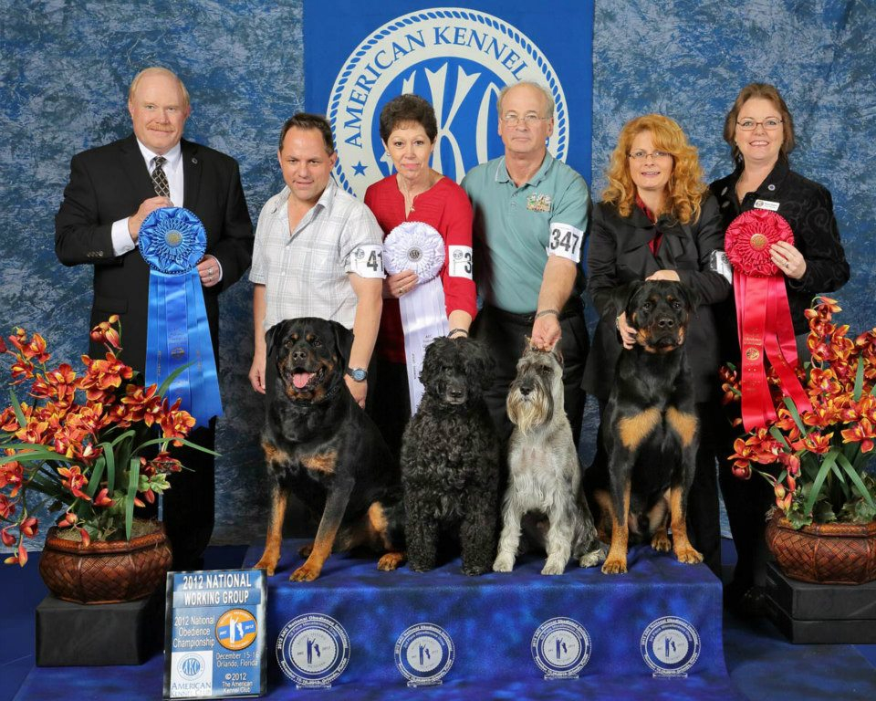 Working Group First Place 2012
